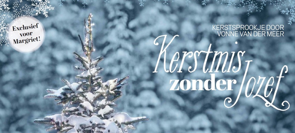 Kerstverhaal Vonne van der Meer