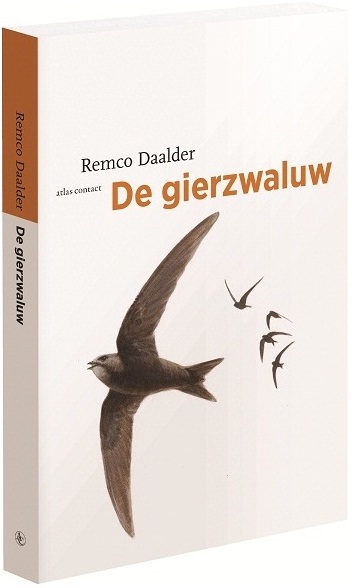 De gierzwaluw 3D