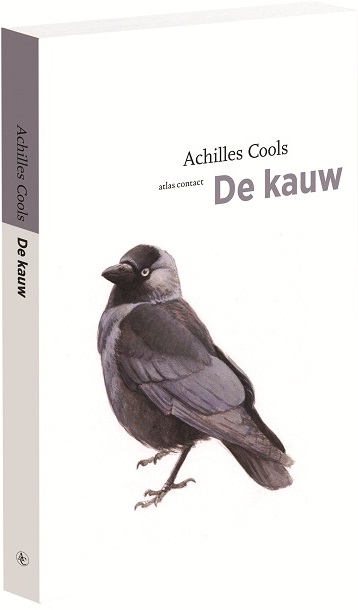 De kauw 3D