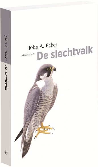 De slechtvalk 3D