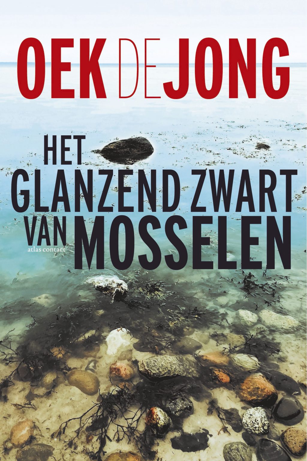 VPRO Nooit meer slapen in gesprek met Oek de Jong over zijn nieuwe boek ‘Het glanzend zwart van VPRO Nooit meer slapen in gesprek met Oek de Jong over zijn nieuwe boek ‘Het glanzend zwart van