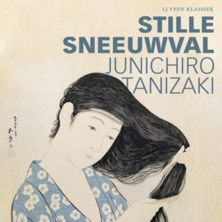 Stille sneeuwval - cover