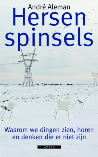 Hersenspinsels - cover