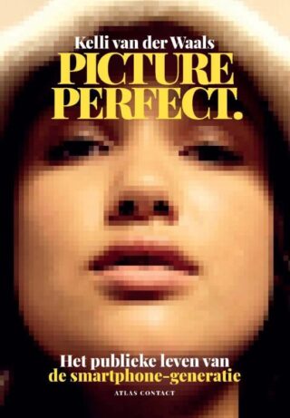 Picture perfect - cover