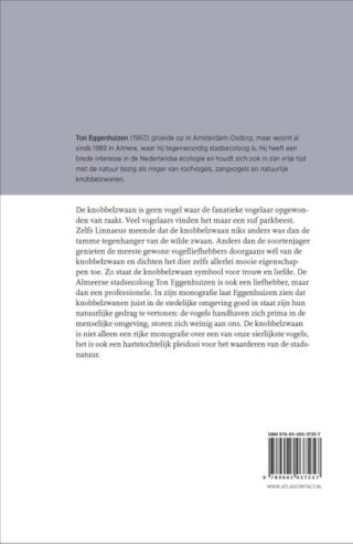 De knobbelzwaan - achterkant