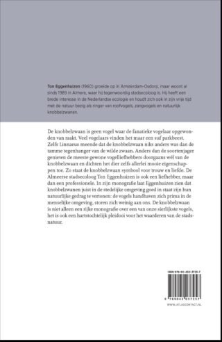 De knobbelzwaan - achterkant