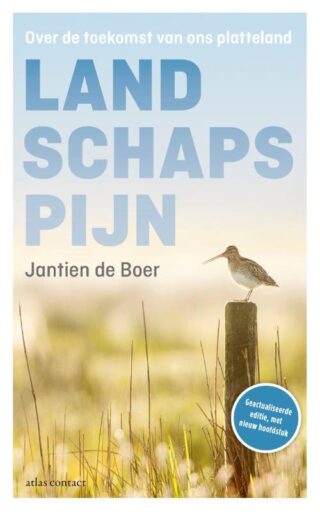 Landschapspijn - cover