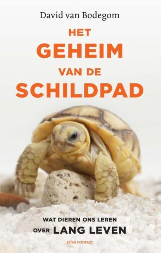 Het geheim van de schildpad - cover