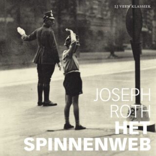 Het spinnenweb - cover