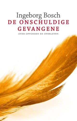 De onschuldige gevangene - cover