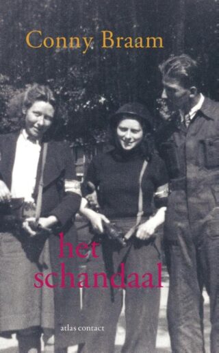 Het schandaal - cover