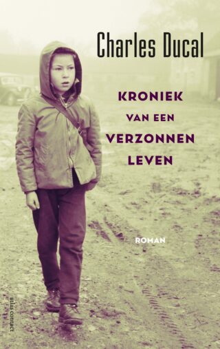 Kroniek van een verzonnen leven - cover