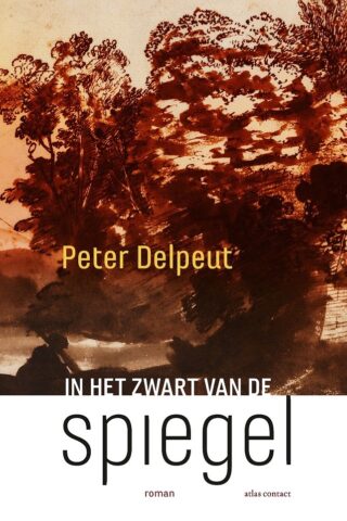 In het zwart van de spiegel - cover