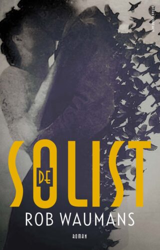 De solist - cover