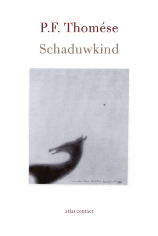 Schaduwkind - cover