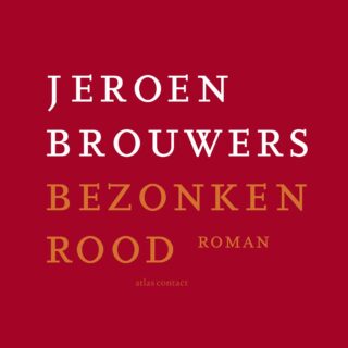 Bezonken rood - cover