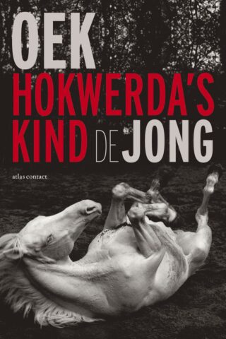 Hokwerda's kind - cover