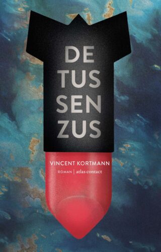 De tussenzus - cover