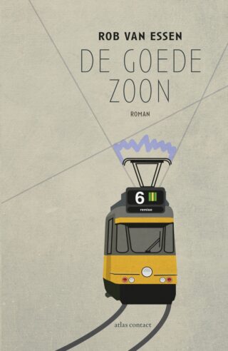 De goede zoon - cover