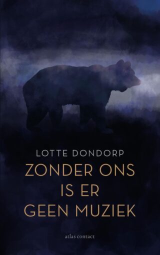 Zonder ons is er geen muziek - cover