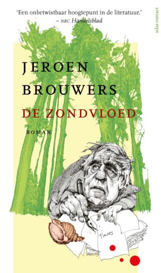 De zondvloed - cover