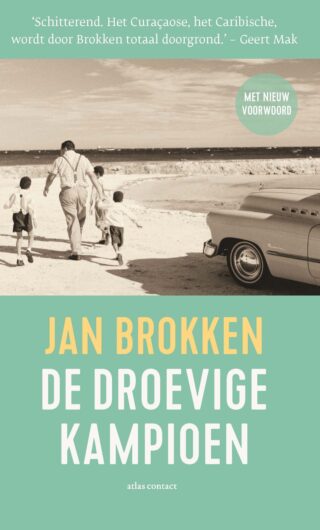 De droevige kampioen - cover