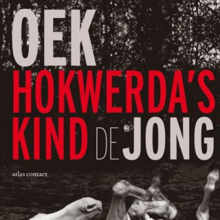 Hokwerda's kind - cover
