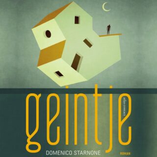 Geintje - cover