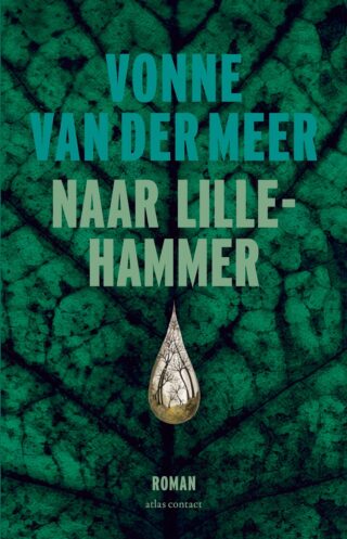 Naar Lillehammer - cover