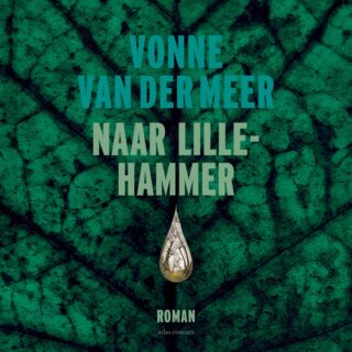 Naar Lillehammer - cover