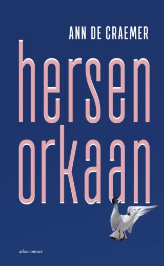 Hersenorkaan - cover