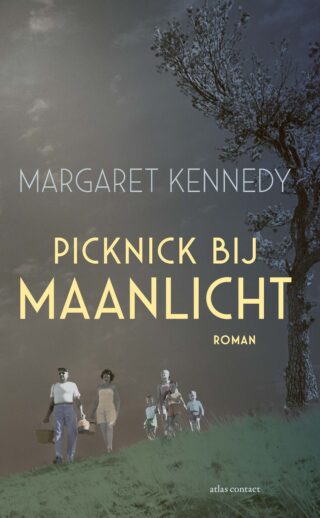 Picknick bij maanlicht - cover