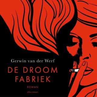 De droomfabriek - cover