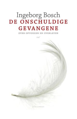 De onschuldige gevangene - cover