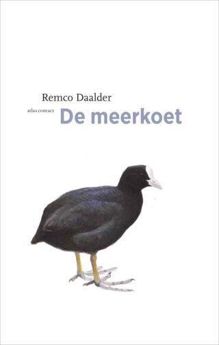 De meerkoet - cover