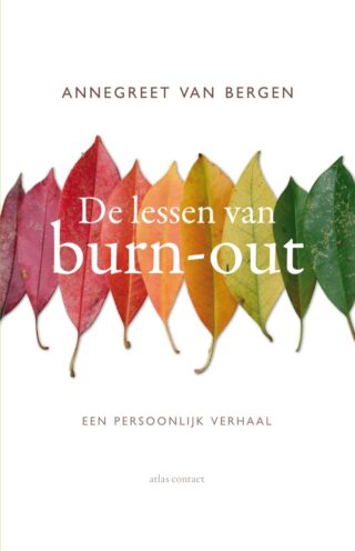 De lessen van burn-out - cover