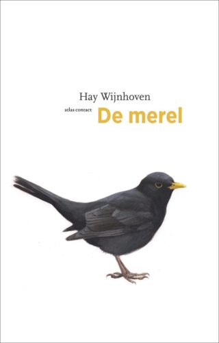 De merel - cover