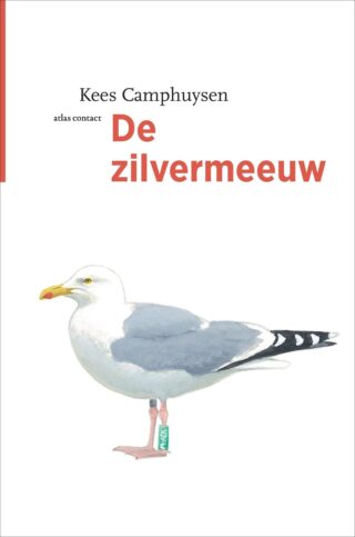 De zilvermeeuw - cover