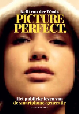 Picture perfect - cover