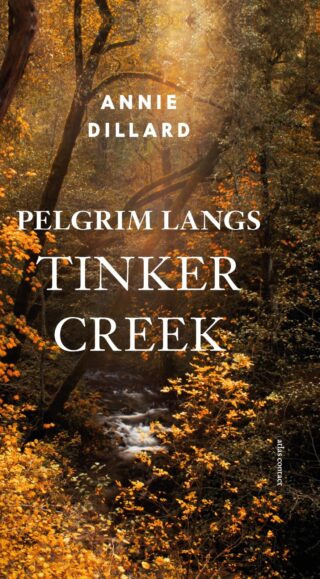 Pelgrim langs Tinker Creek - cover