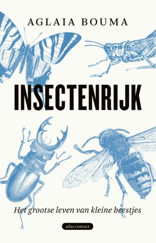 Insectenrijk - cover