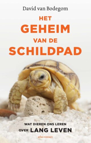 Het geheim van de schildpad - cover