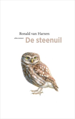 De steenuil - cover