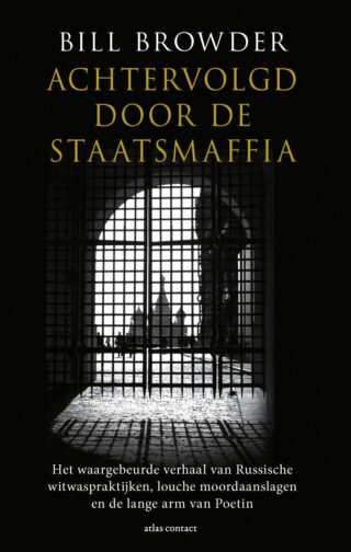 Achtervolgd door de staatsmaffia - cover