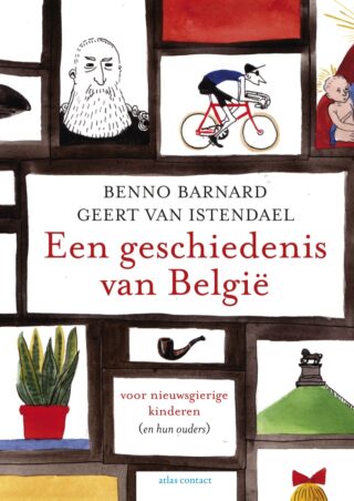 Een geschiedenis van België - cover