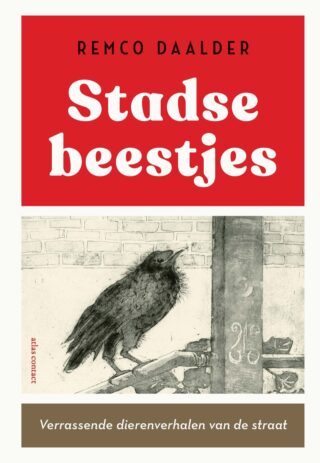 Stadse beestjes - cover