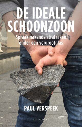 De ideale schoonzoon - cover