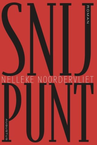 Snijpunt - cover