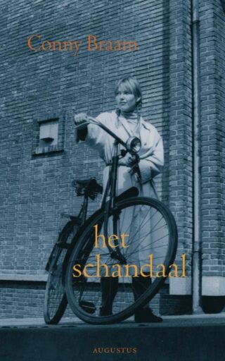 Het schandaal - cover