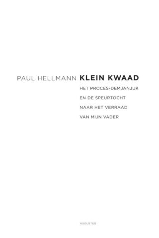 Klein kwaad - cover